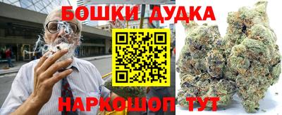 прущие крисы Камышлов