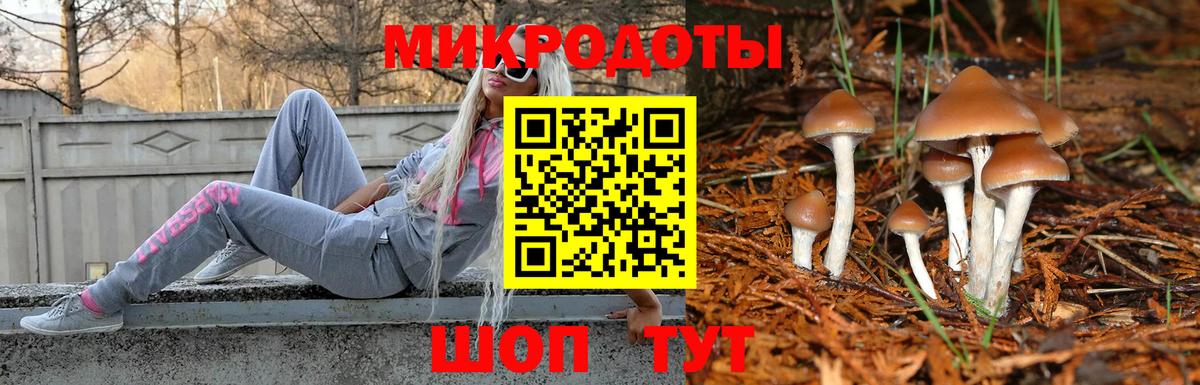 Кувандык  Псилоцибиновые грибы Cubensis  закладка  Вход с VPN 