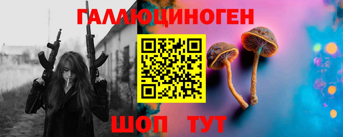 Псилоцибиновые грибы Psilocybine cubensis Кувандык